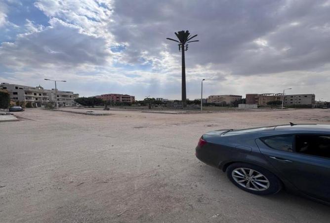 58243749 - Property Image 3