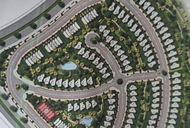 55478368 - Property Image 3