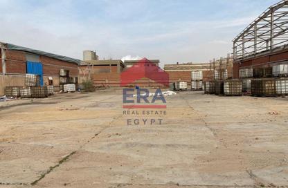 مصنع - استوديو - 2 للايجار في طريق بلبيس العاشر من رمضان - زيزينيا العاشر من رمضان - مدينة العاشر من رمضان - الشرقية
