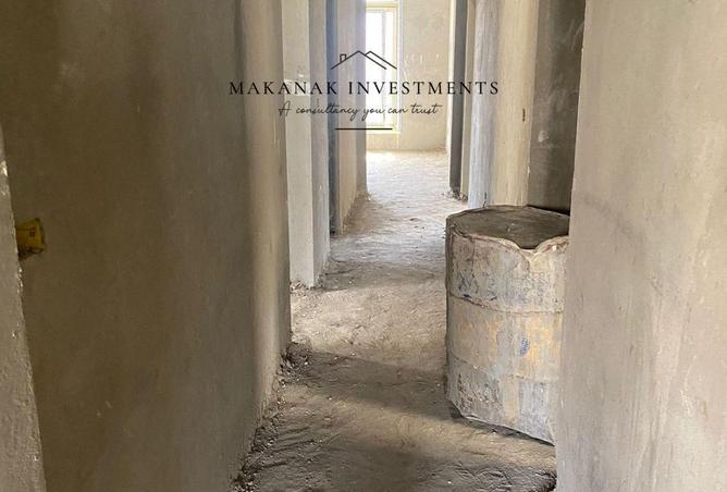 67479415 - Property Image 3