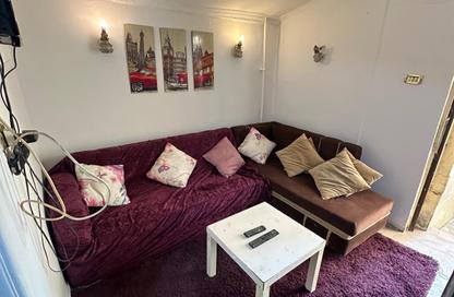 Apartment - 1 Bedroom - 1 Bathroom for rent in Street 250 - Degla - Hay El Maadi - Cairo