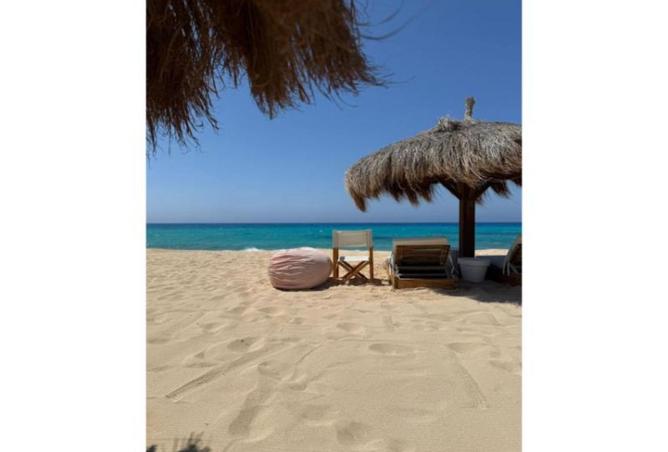 8567049 - صورة العقار 2