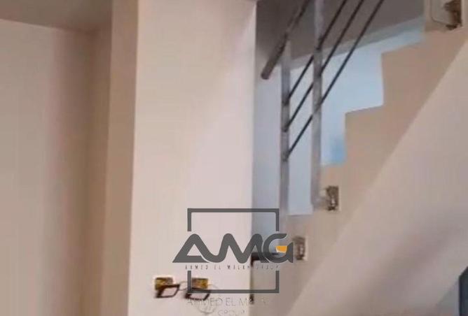 55248605 - Property Image 3