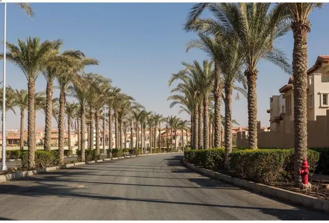 119329907 - صورة العقار 3