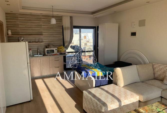 69828161 - Property Image 2