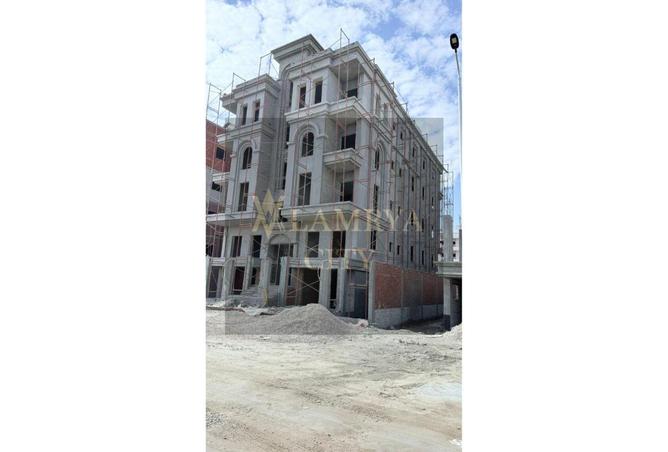 8596549 - Property Image 3