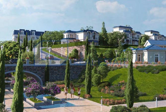 70374601 - صورة العقار 3