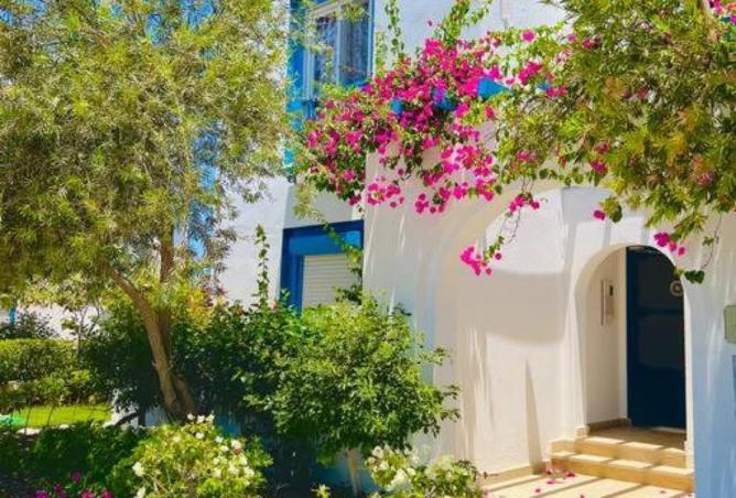 64387690 - صورة العقار 2