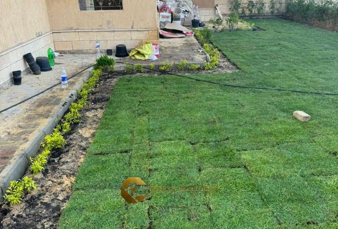 67216786 - صورة العقار 2