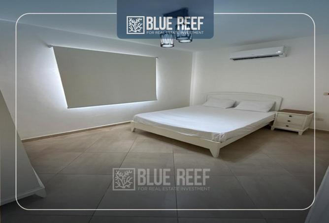 66927168 - Property Image 3