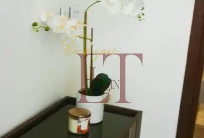 107694222 - Property Image 3