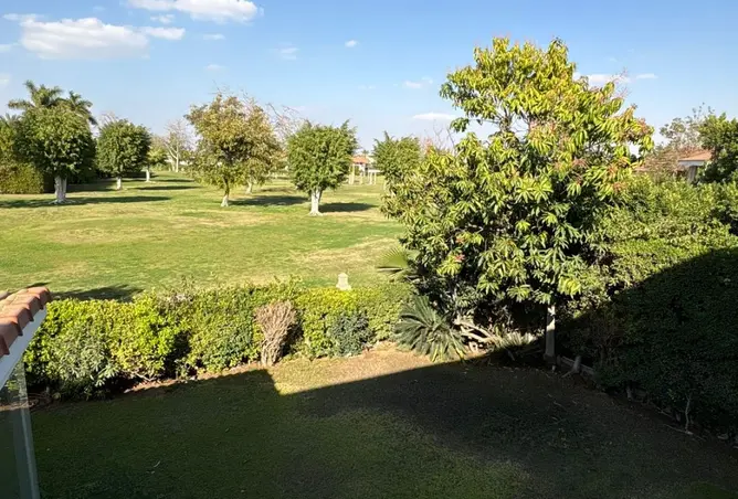 109640281 - صورة العقار 2