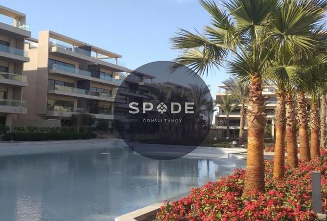 60473066 - Property Image 2