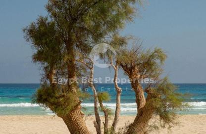 Chalet - 3 Bedrooms - 3 Bathrooms for sale in Marsa Baghush - Qesm Marsa Matrouh - North Coast