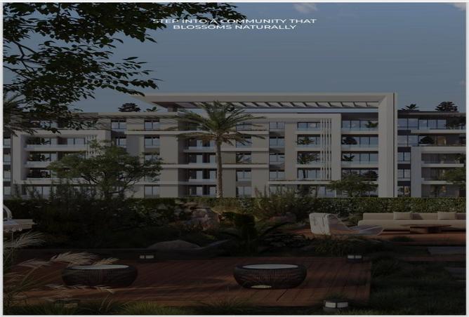 8542097 - Property Image 3