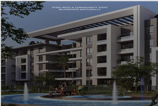 8542097 - Property Image 2