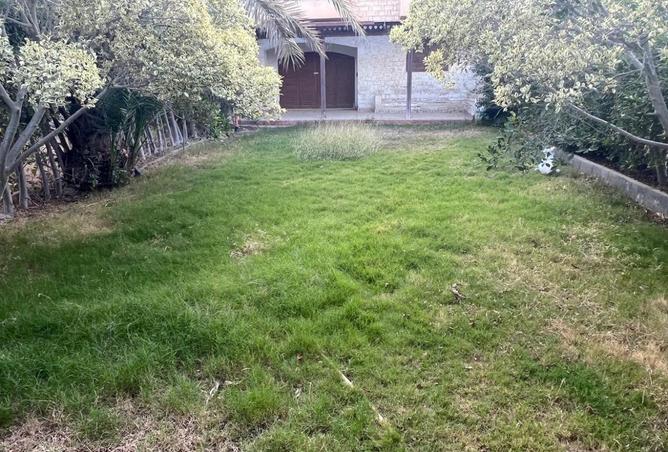 8606741 - صورة العقار 2