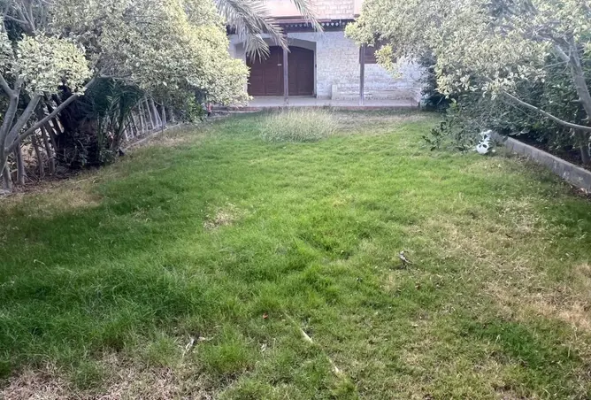 8606741 - صورة العقار 2