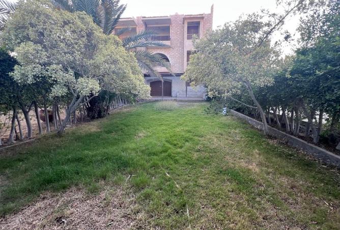 8606741 - صورة العقار 3