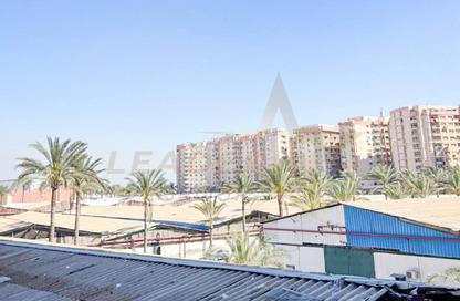 Apartment - 2 Bedrooms - 1 Bathroom for sale in Green Plaza St. - Smouha - Hay Sharq - Alexandria Apartment - 2 Bedrooms - 1 Bathroom for sale in Green Plaza St. - Smouha - Hay Sharq - Alexandria