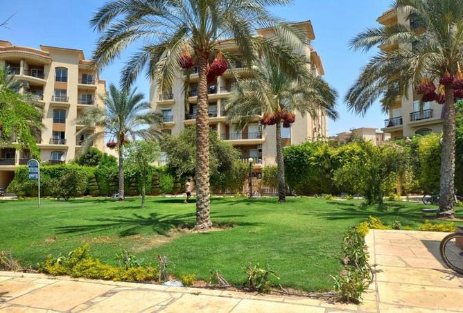 70108966 - صورة العقار 3