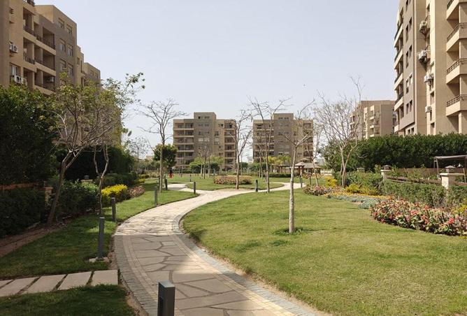 66436390 - صورة العقار 3