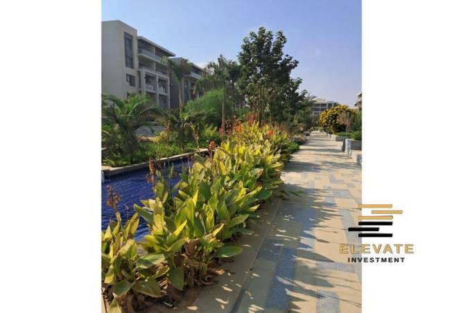 54499617 - Property Image 2