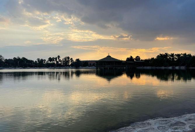 56495819 - Property Image 3