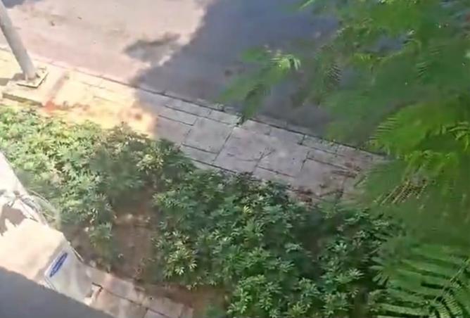 98541949 - الصورة الرئيسية للعقار
