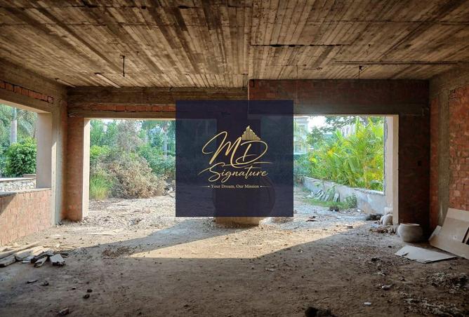 64651603 - صورة العقار 3