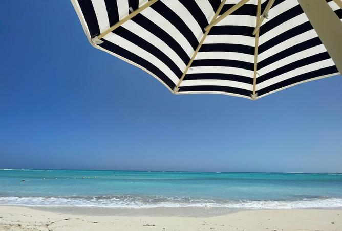 68792858 - صورة العقار 3