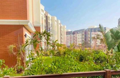 Apartment - 3 Bedrooms - 2 Bathrooms for sale in Alex West - Alexandria Compounds - Alexandria
