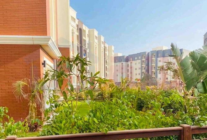 63385487 - صورة العقار 3