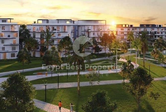 74595353 - Property Image 3
