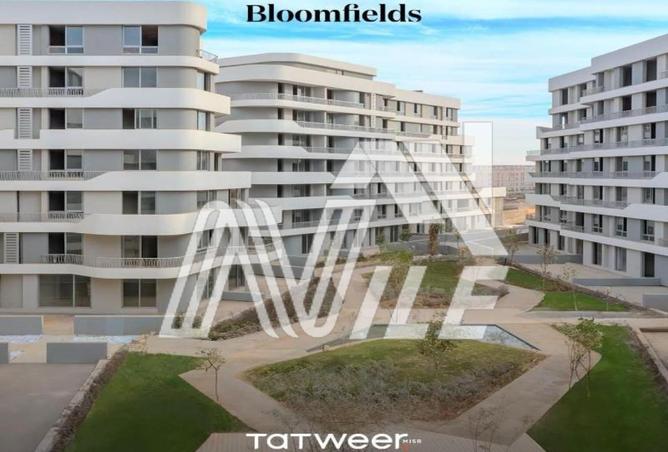 54244208 - Property Main Image