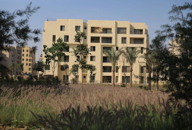 68799946 - صورة العقار 2