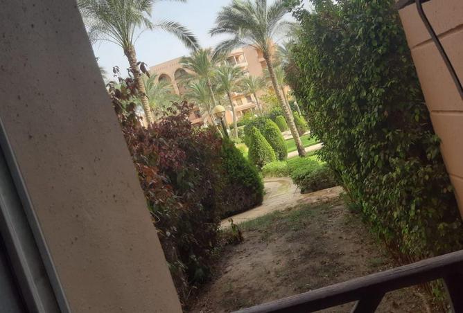 56500721 - Property Image 2