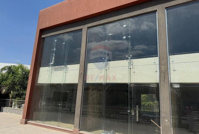 59738135 - Property Image 2