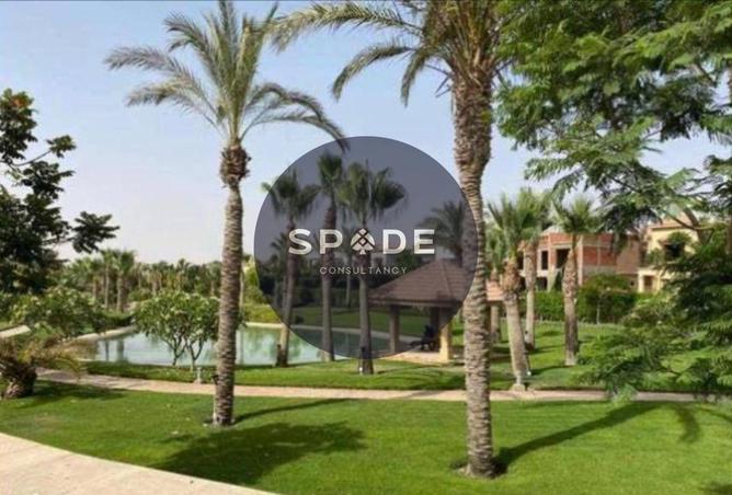 52456775 - Property Image 2