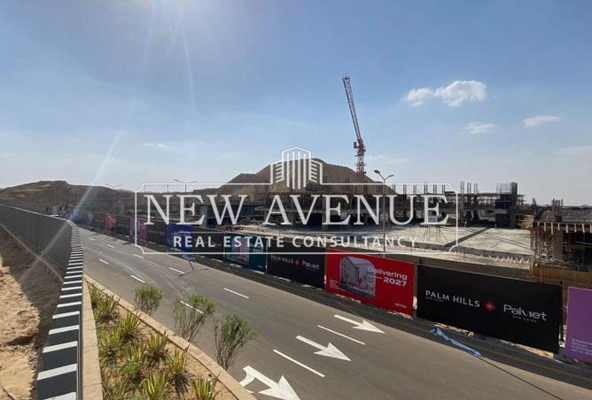 61438655 - Property Image 3