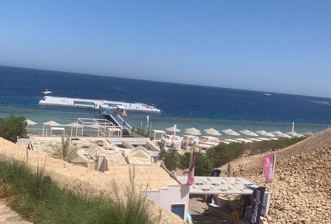 8512086 - Property Image 3