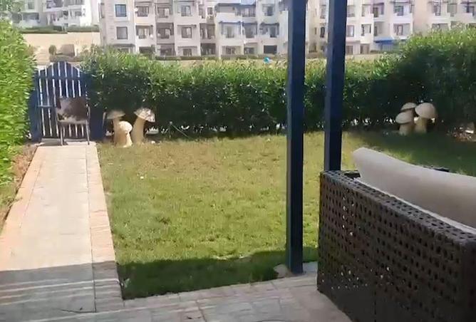 8618837 - صورة العقار 2