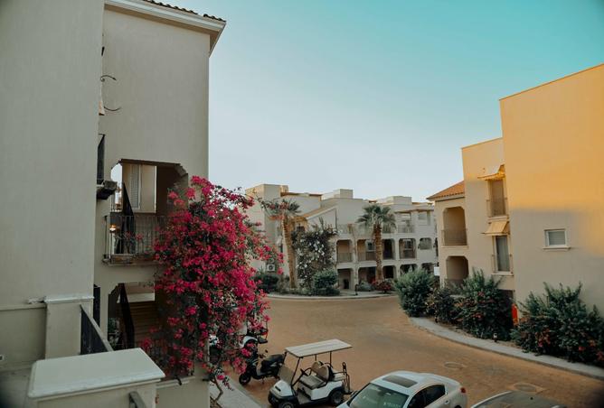 98815662 - Property Image 3