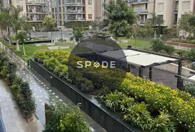 116754892 - Property Image 3