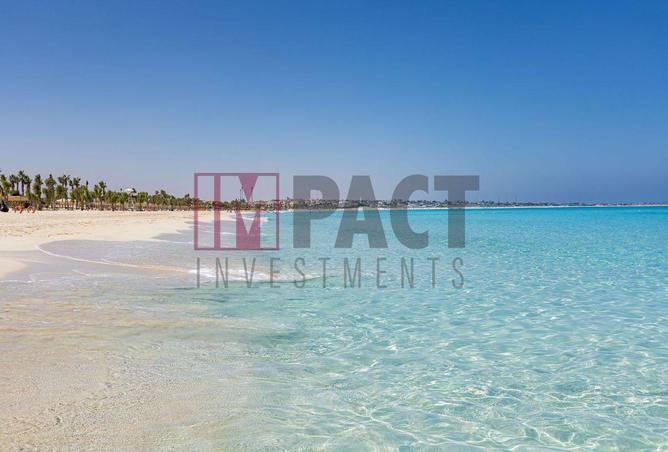 66425634 - Property Image 3