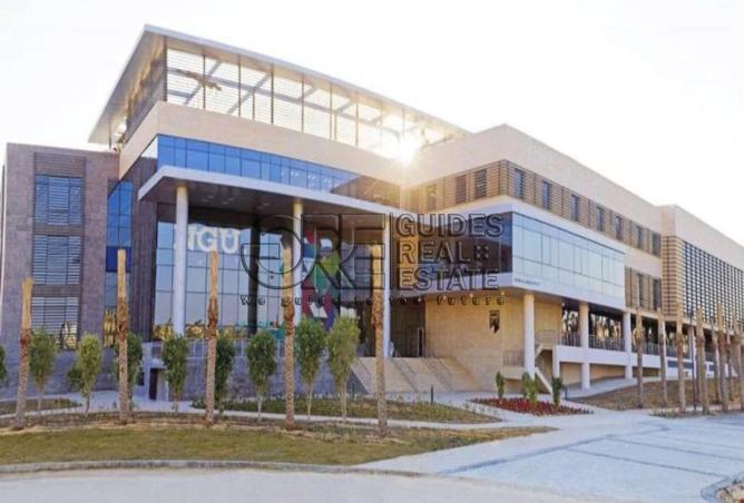 63135376 - Property Image 3