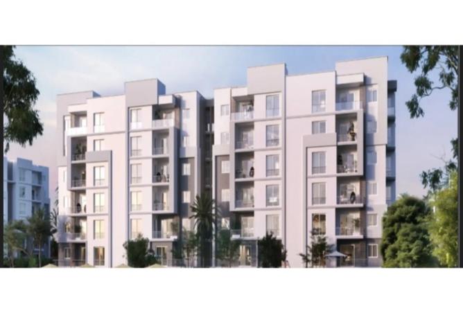 8493460 - Property Image 2