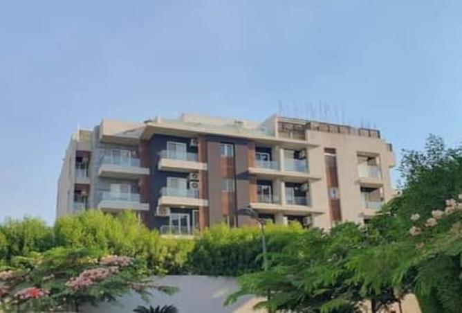 8714235 - Property Image 3