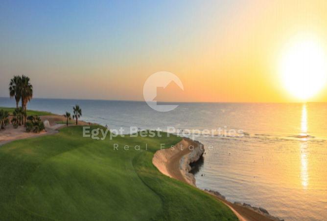 8496097 - صورة العقار 3