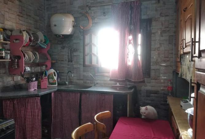 56256411 - Property Image 2